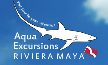 Aqua Excursions